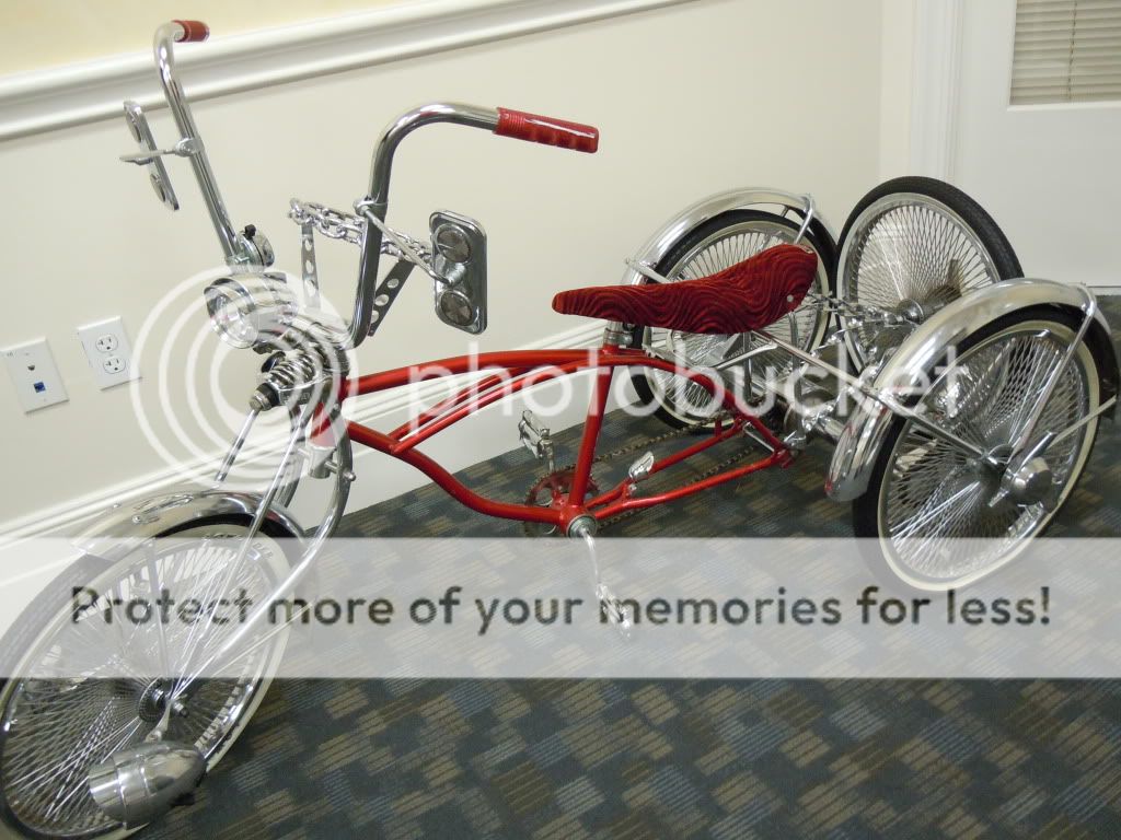 Custom Chrome Lowrider 3 Wheel Tricycle Trike Bike Bicycle Cruiser Show